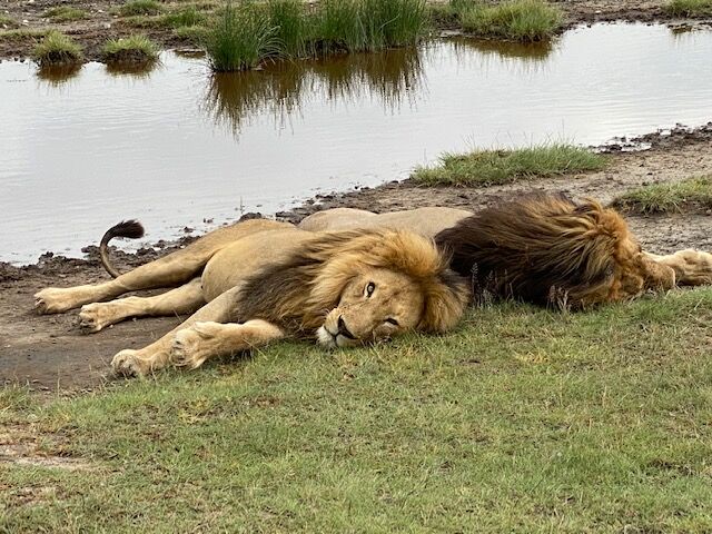 111421-owh-ilo-africatrip-p12